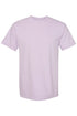 Freshly Boo'd Coffee Comfort Colors Adult Ring-Spun Cotton Tee