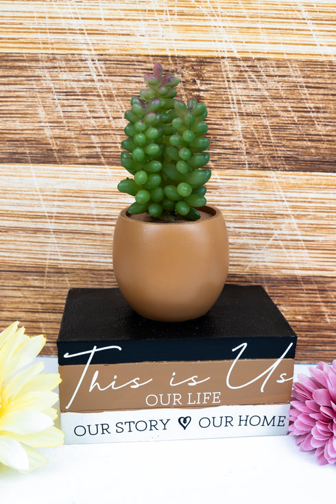 8 x 5 'This Is Us' Book Planter with Artificial Succulent