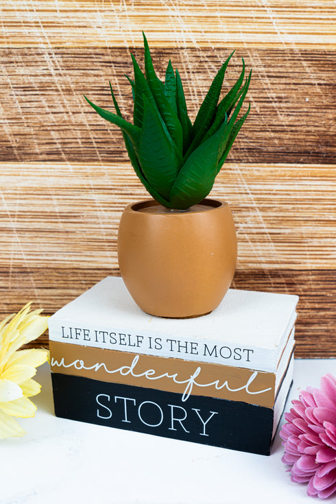 8 x 5 'Wonderful Story' Book Planter with Artificial Succulent