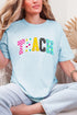 Brushstrokes & Bright Minds Comfort Colors Adult Ring-Spun Cotton Tee