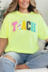 Brushstrokes & Bright Minds Comfort Colors Adult Ring-Spun Cotton Tee