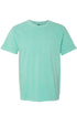 Jesus All Along Comfort Colors Adult Ring-Spun Cotton Tee
