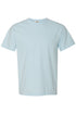Good Day To Have A Good Day Comfort Colors Adult Ring-Spun Cotton Tee