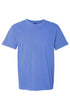 Good Day To Have A Good Day Comfort Colors Adult Ring-Spun Cotton Tee