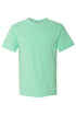 Strawberry Oh Taste & See Comfort Colors Adult Ring-Spun Cotton Tee