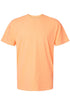 Coquette Coastal Stamps Comfort Colors Adult Ring-Spun Cotton Tee