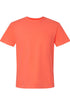 Geez Louise Comfort Colors Adult Ring-Spun Cotton Tee