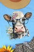 Fancy Glasses Cow Dri-Power 50/50 Tee