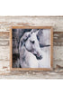 14 x 14 White Stallion Wall Art