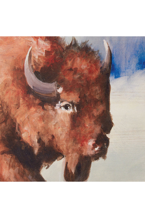 24 x 17.75 American Bison Wall Art