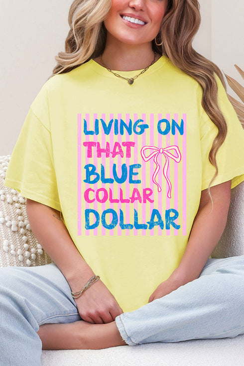 Striped Blue Collar Dollar Pink And Blue Softstyle Adult T-Shirt