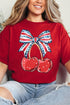 America Cherries Softstyle Adult T-Shirt