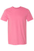 So Many Books Softstyle Adult T-Shirt
