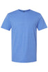 Gooseberry Love Softstyle Adult T-Shirt