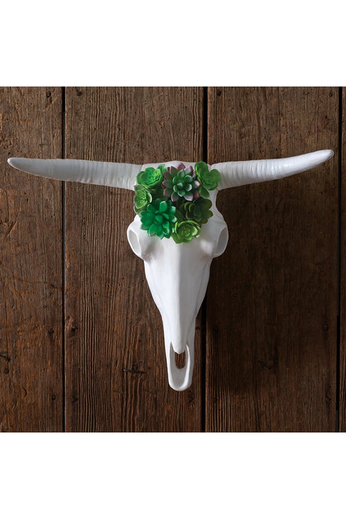 16 x 20 Longhorn Skull with Artificial Succulents