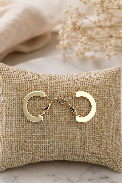 Penthouse Polish Goldtone Hoop Earrings