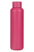 Teach, Encourage, Inspire Fuchsia 20oz Stainless Steel Water Bottle