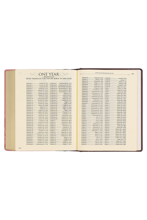 Pink and Brown Faux Leather KJV Note-Taking Bible