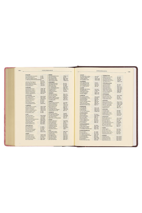 Pink and Brown Faux Leather KJV Note-Taking Bible
