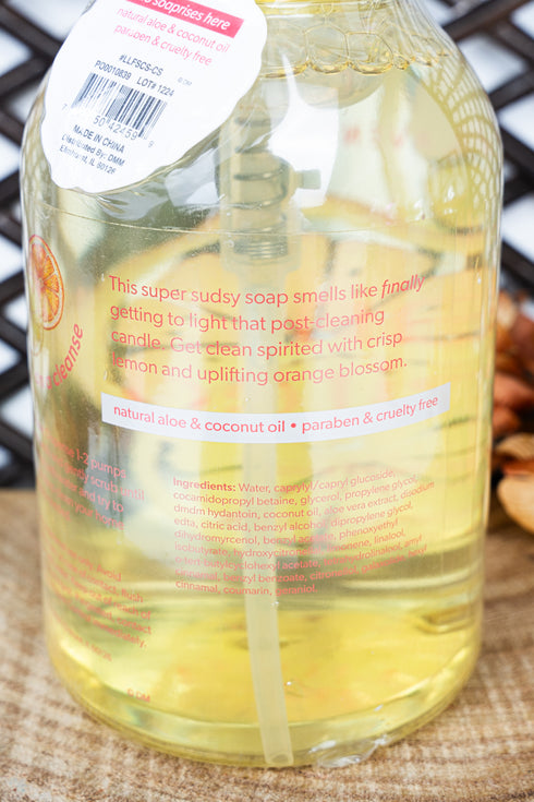 Clean Spirited Foaming Hand Soap