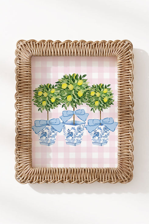 Pink Gingham Lemon Grove Trio Ready To Frame Canvas Print