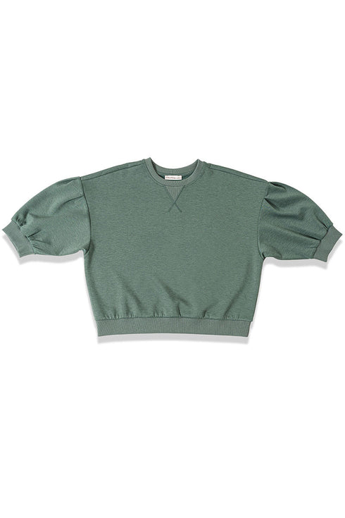 Everyday Ease Ash Jade Dolman Sleeve Scuba Pullover