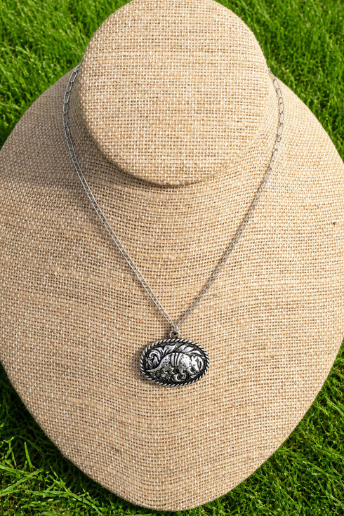 Rustic Roamer Armadillo Silvertone Necklace