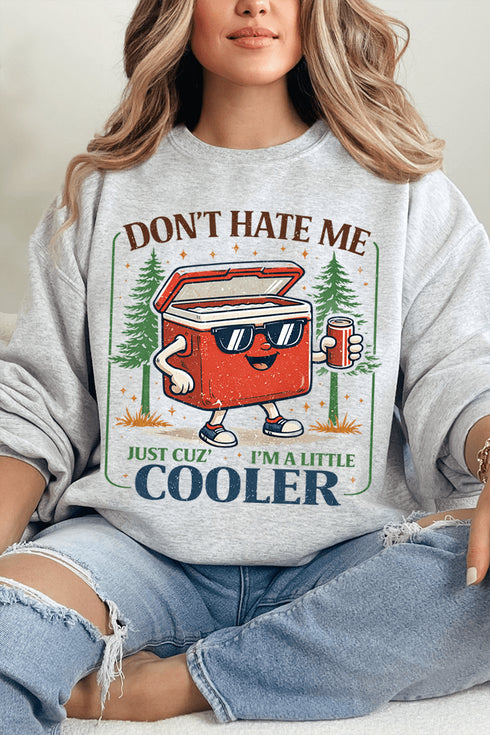 I'm A Little Cooler Heavy Blend Crew Sweatshirt