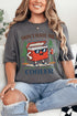 I'm A Little Cooler Softstyle Adult T-Shirt