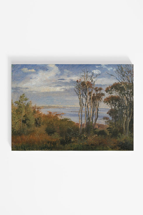 Through The Trees Ready To Frame Canvas Print