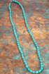 Turquoise Sonora Stone Long Necklace