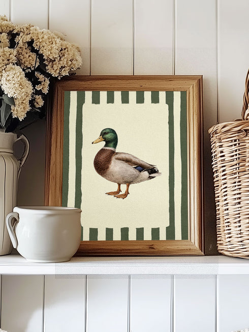 Field Study: Mallard Ready To Frame Canvas Print