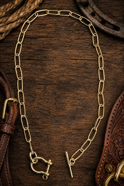 Canter Club Goldtone Toggle Necklace