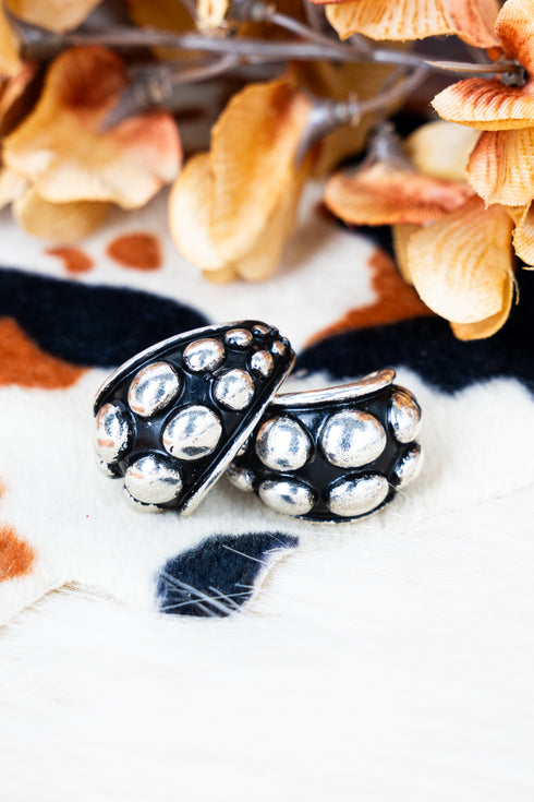 Wildwood Hollow Silvertone Studded Earrings