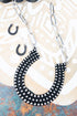 Western Wishes Silvertone Studded Horseshoe Necklace and Earring Set