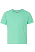 Youth Arched Mini Leopard Dri-Power Youth 50/50 T-Shirt