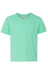 Youth All Things Happy Mini Dri-Power 50/50 T-Shirt