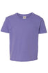Youth Tis The Season Baseball Purple and Gold Dri-Power 50/50 T-Shirt