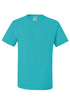 Arched Grammy Leopard Dri-Power 50/50 Tee
