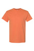 Stay Wild Sunset Cactus Short Sleeve Relaxed Fit T-Shirt