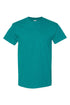 Know It All University Short Sleeve Relaxed Fit T-Shirt