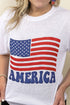 America Flag Puff Vinyl Dri-Power 50/50 Tee