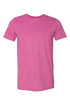 Raised In The South Softstyle Adult T-Shirt